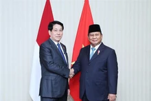 Le président Luong Cuong (gauche) et son homologue indonésien, Prabowo Subianto. Photo : VNA.