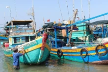 Flottille de bateaux de pêche à Bà Ria-Vung Tàu. Photo: VNA.