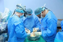 En 2024, le Vietnam a enregistré 41 cas de don d'organes proviennant de donneurs en mort encéphalique. Photo : VNA