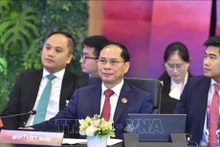 Le ministre vietnamien des Affaires étrangères, Bui Thanh Son (centre). Photo : VNA