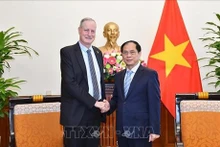 Le ministre des Affaires étrangères Bui Thanh Son (droite) et l'ambassadeur d'Israël au Vietnam Yaron Mayer. Photo: VNA