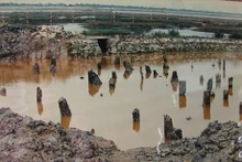 Le champ de poteaux de bois Bach Dang ajouté au dossier demandant la reconnaissance de l'UNESCO pour le complexe de Yên Tu. Photo : portail de la province de Quang Ninh.