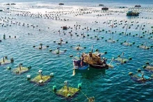 Le Vietnam jouit d’un long littoral et d’une surface d’eau suffisante pour développer l’aquaculture en eau saumâtre et en eau douce. Photo : vneconomy.vn