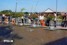 Le delta du Mékong se profile comme l'un des territoires touristiques les plus dynamiques du Vietnam en 2024, avec une croissance spectaculaire qui ne cesse de surprendre les observateurs. Photo : VNA.