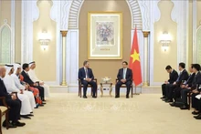 Le Premier ministre Pham Minh Chinh reçoit des dirigeants de grandes groupes des Émirats arabes unis. Photo : VNA.