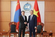 Le Secrétaire général du Parti communiste du Vietnam et Président Tô Lâm (droite) et le Président du Parlement mongol Dashzegve Amarbayasgalan. Photo : VNA.