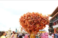 L'arbre aux souhaits est toujours le point culminant du festival du Nouvel An lunaire à la pagode Nam Hoa. Photo: VNA