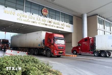 Les fruits et les légumes vietnamiens sont de plus en plus exportés vers la Chine. Photo : VNA