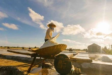 Le champ de sel de Bach Long est situé dans la commune de Bach Long, district de Giao Thuy, province de Nam Dinh. Photo : Photo: www.sgtiepthi.vn