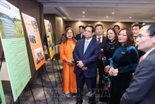 Le Premier ministre Pham Minh Chinh écoute une présentation sur les domaines de la VASEA. Photo : VNA.