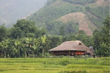 Une maison traditionnelle sur pilotis. Photo : baolaocai.vn
