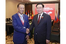 Le Président de l’Assemblée nationale vietnamienne (AN), Vuong Dinh Huê (à droite), et le Président de la Chambre des Représentants de Thaïlande, Wan Muhamad Noor Matha. Photo : VNA.