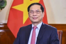 Le vice-Premier ministre et ministre des Affaires étrangères Bui Thanh Son. Photo : VNA.
