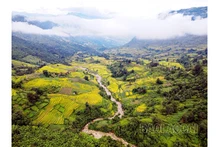 Les rizières en terrasses de la vallée de Thê Pa ont été classés entant que site du patrimoine national par le Ministère de la Culture, des Sports et du Tourisme. Photo : baolaocai.vn