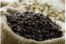 Les exportations de poivre vers le marché américain en avril ont atteint 7 514 tonnes. Photo : conthuong.vn