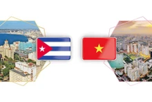 Les relations de solidarité traditionnelle et d'amitié spéciale Vietnam-Cuba