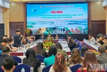 La vue générale de la conférence. Photo : nhandan.vn