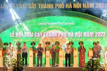 Le Festival des fruits de Hanoï en 2022 s'est ouvert le 6 octobre au parc Thông Nhât. Photo : NDEL.