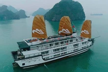 La croisière Paradise Vietnam dans la baie d'Ha Long. Photo : VNA