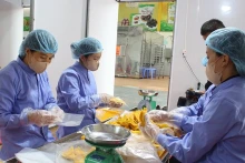 L'emballage des produits à la coopérative agricole de Quyêt Thanh à Môc Châu, province de Son La. Photo : NDEL.
