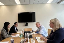 La séance de travail entre l'ambassadrice adjointe du Vietnam au Royaume-Uni, Tô Minh Thu, et Ian McKenna, chef du Département de la Coopération internationale du ministère irlandais de l'Enseignement supérieur, de la Recherche, de l'Innovation et de la Science. Photo : VNA.
