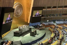 L'ambassadeur Dang Hoàng Giang, chef de la Mission permanente du Vietnam auprès de l'ONU, prend la parole lors d'une session de l'ONU. Photo : VNA.