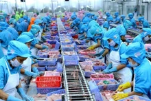Le Vietnam exporte pour 10 milliards d'USD de produits aquatiques en 2024