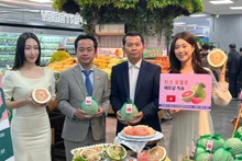 Le pamplemousse vietnamien est officiellement en vente dans le réseau de supermarchés Lotte Mart en R. de Corée. Photo: congthuong.vn