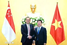 Le ministre vietnamien de l'Industrie et du Commerce, Nguyen Hong Dien (à droite) s'entretient avec le ministre singapourien de l'Industrie et du Commerce, Tan See Leng, sur l'élargissement de la coopération économique, commerciale et énergétique en mars 2024. Photo : Tran Viet/VNA.
