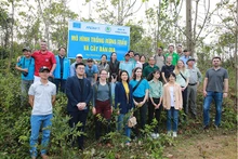 900 habitants issus des minorités ethniques sur un total de plus de 3 700 agriculteurs à Quang Tri ont bénéficié du projet PROSPER. Photo : MCMV.