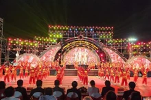 Ouverture du festival international des arts martiaux 2023 à Binh Dinh. Photo : VNA.