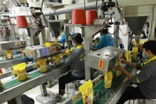 Les exportations agricoles du Vietnam vers l’Afrique ont dépassé 950 millions de dollars l’année dernière. Photo d'illustration : VNA