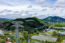 Le projet de la ligne 500kV circuit 3 Quang Trach – Phô Nôi s'achève dans des délais rapides