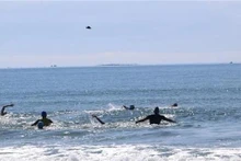 Les athlètes participent à l’épreuve de natation des Championnats nationaux de triathlon 2024. Photo : VNA.