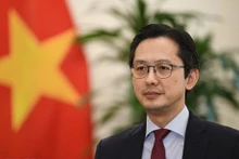 Le vice-ministre des Affaires étrangères Dô Hung Viêt. Photo : VNA.