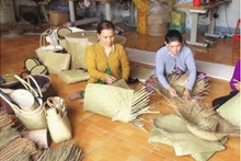 Le projet est mis en œuvre dans le but d'accompagner les habitants de la commune de Phong Binh, district de Phong Diên à développer le métier traditionnel de tissage de l'herbe Lepironia articulata, créant des opportunités d'emplois pour les populations locales. Photo : www.thuathienhue.gov.vn