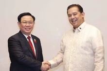 Le Président de l'Assemblée nationale (AN) vietnamienne, Vuong Dinh Huê (à gauche), et le Président de la Chambre des Représentants des Philippines, Ferdinand Martin Romualdez.Photo : VNA.