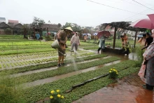 Les délégués expérimentent le travail de fermier au village de légumes Trà Quê, à Hôi An, province de Quang Nam. Photo : TITC.
