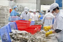 Transformations des crevettes à exporter. Photo : VNA
