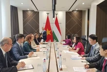 La consultation politique pour échanger sur les orientations de la coopération et de promotion du partenariat intégral entre le Vietnam et la Hongrie. Photo : VNA