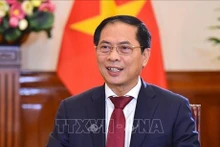 Le ministre des Affaires étrangères Bùi Thanh Son. Photo : VNA.