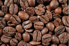 Le café est le produit ayant le chiffre d’affaires d’exportation le plus important vers le marché russe, atteignant 161,6 millions de dollars, soit en hausse de 39 % en glissement annuel. Photo : cong thuong.vn