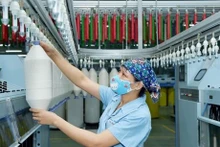 La BAD et un certain nombre d'institutions financières internationales revoient à la baisse leurs prévisions de croissance économique pour le Vietnam. Photo: VietnamPlus