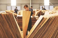 Ces dernières années, la filière bois vietnamienne a solidement affirmé sa position sur l'échiquier commercial mondial, grâce à un chiffre d'affaires à l'exportation impressionnant, mais aussi à un développement robuste et durable. Photo : vneconomy.vn