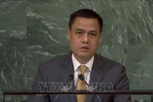 L’ambassadeur Dang Hoang Giang, chef de la Mission permanente du Vietnam auprès des Nations Unies. Photo: VNA