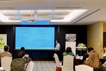 Vue du séminaire sur la transition verte et inclusive vers le développement durable dans les pays en développement, à Hô Chi Minh-Ville, le 25 mars. Photo : VNA.