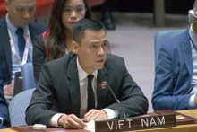 L'ambassadeur Dang Hoàng Giang, chef de la Mission permanente du Vietnam auprès des Nations Unies. Photo : VNA.