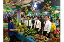 Le durian est un arbre fruitier clé de la province de Dông Nai. Photo: conthuong.vn