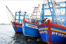 Pêche INN : le nombre de bateaux contrevenants chute à Bà Ria-Vung Tàu