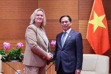 Le vice-PM Bui Thanh Son reçoit la secrétaire d'État danoise des Affaires étrangères. Photo : VNA. 